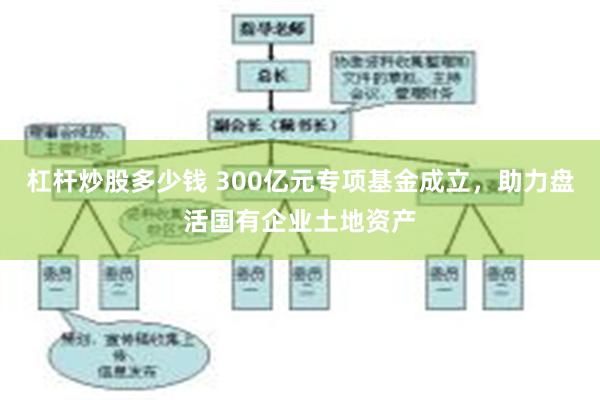 杠杆炒股多少钱 300亿元专项基金成立，助力盘活国有企业土地资产