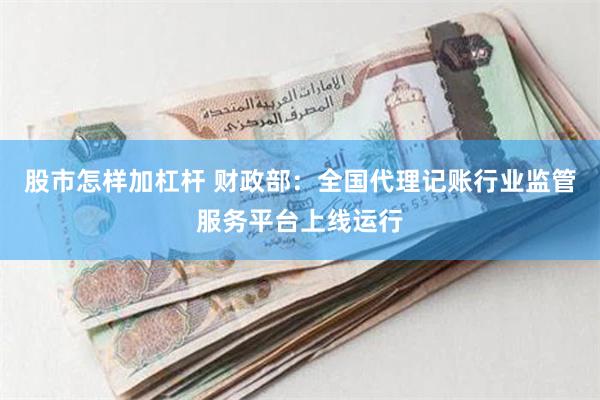 股市怎样加杠杆 财政部：全国代理记账行业监管服务平台上线运行