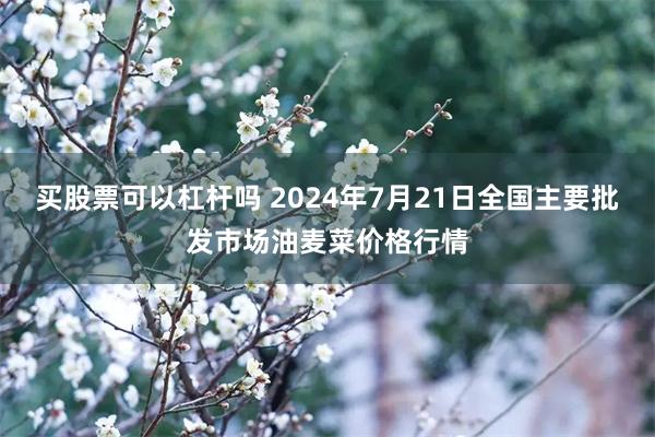 买股票可以杠杆吗 2024年7月21日全国主要批发市场油麦菜价格行情