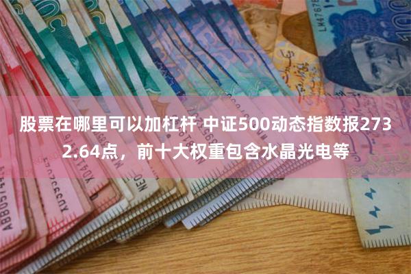 股票在哪里可以加杠杆 中证500动态指数报2732.64点，前十大权重包含水晶光电等