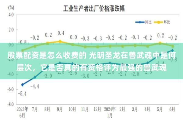 股票配资是怎么收费的 光明圣龙在兽武魂中是何层次，它是否真的有资格评为最强的兽武魂