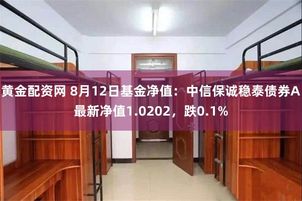 黄金配资网 8月12日基金净值：中信保诚稳泰债券A最新净值1.0202，跌0.1%