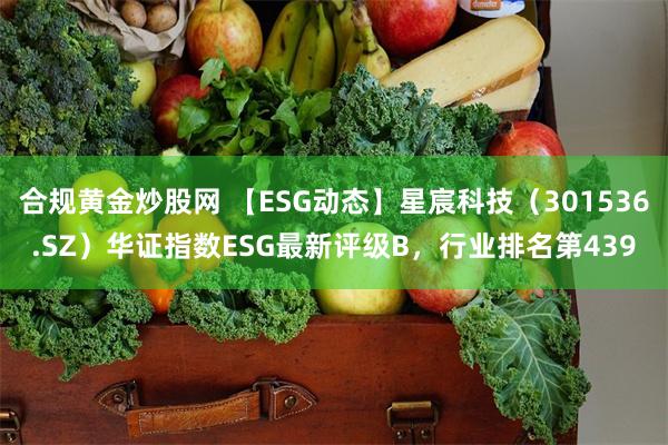 合规黄金炒股网 【ESG动态】星宸科技（301536.SZ）华证指数ESG最新评级B，行业排名第439