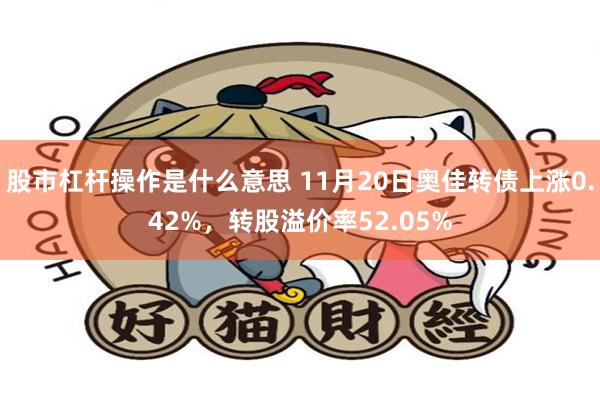 股市杠杆操作是什么意思 11月20日奥佳转债上涨0.42%，转股溢价率52.05%