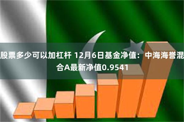 股票多少可以加杠杆 12月6日基金净值：中海海誉混合A最新净值0.9541