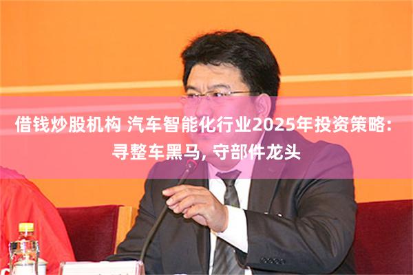 借钱炒股机构 汽车智能化行业2025年投资策略: 寻整车黑马, 守部件龙头