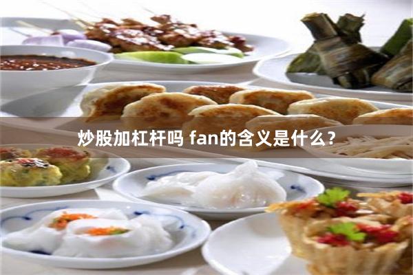 炒股加杠杆吗 fan的含义是什么？